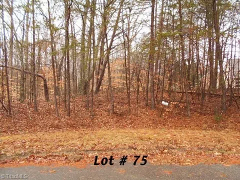 #75 Beaver Run