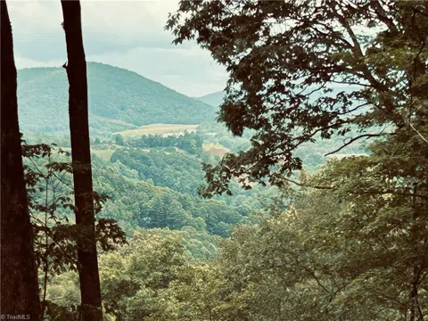 Lot 64 Poplar Forest Drive