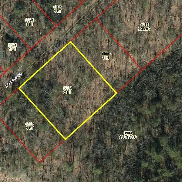 Lots 30 & 31 Morgan Road Lowgap, NC 27024