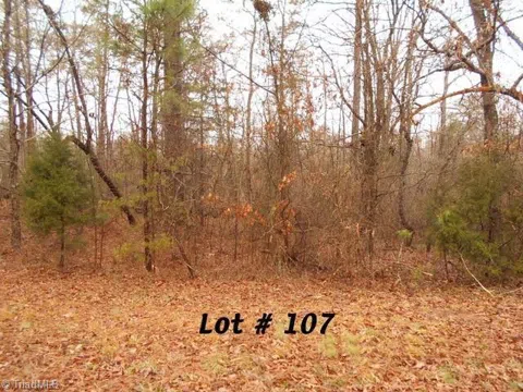 #107 Deer Run