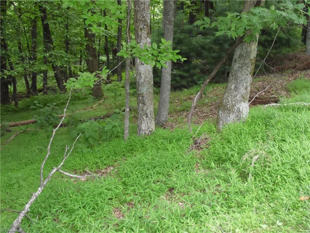 TBD Longview Circle Roaring Gap, NC 28627