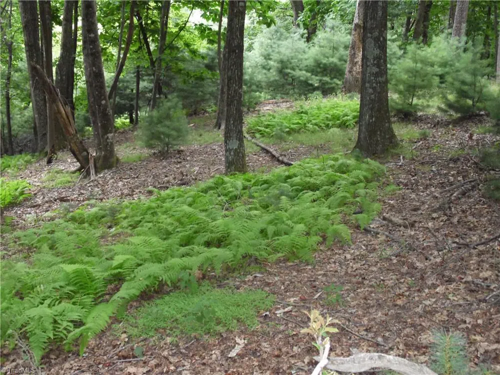 TBD Longview Circle Roaring Gap, NC 28627