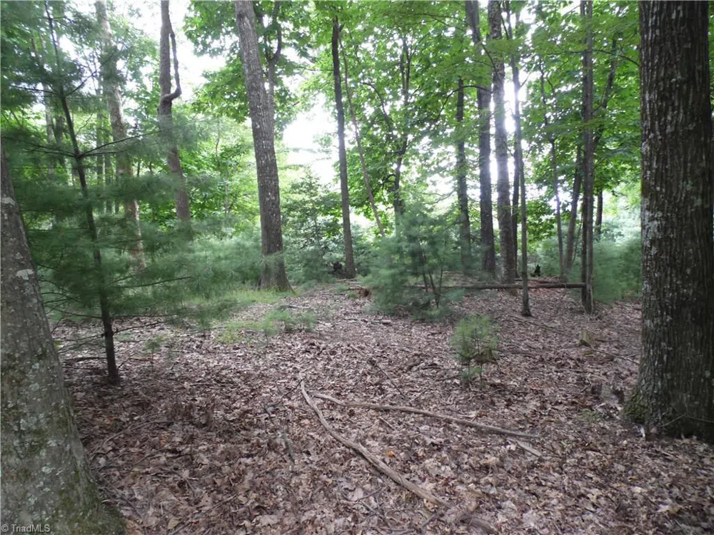 TBD Longview Circle Roaring Gap, NC 28627