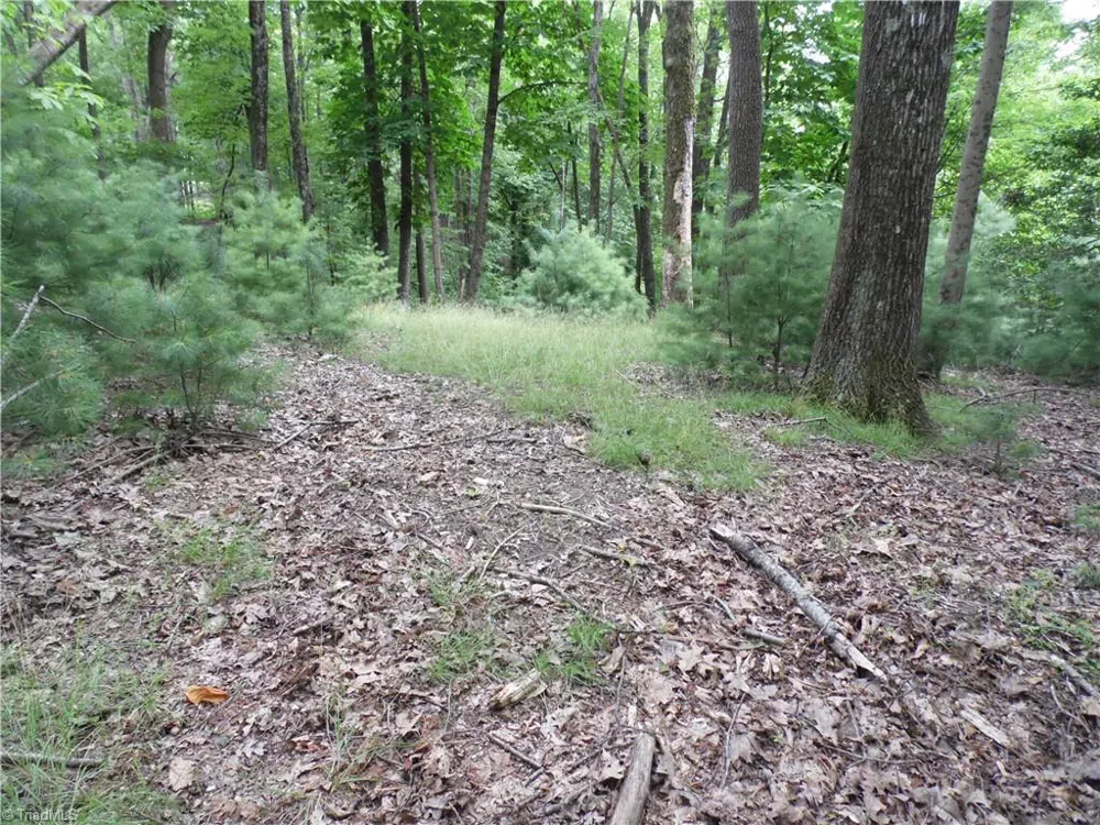 TBD Longview Circle Roaring Gap, NC 28627