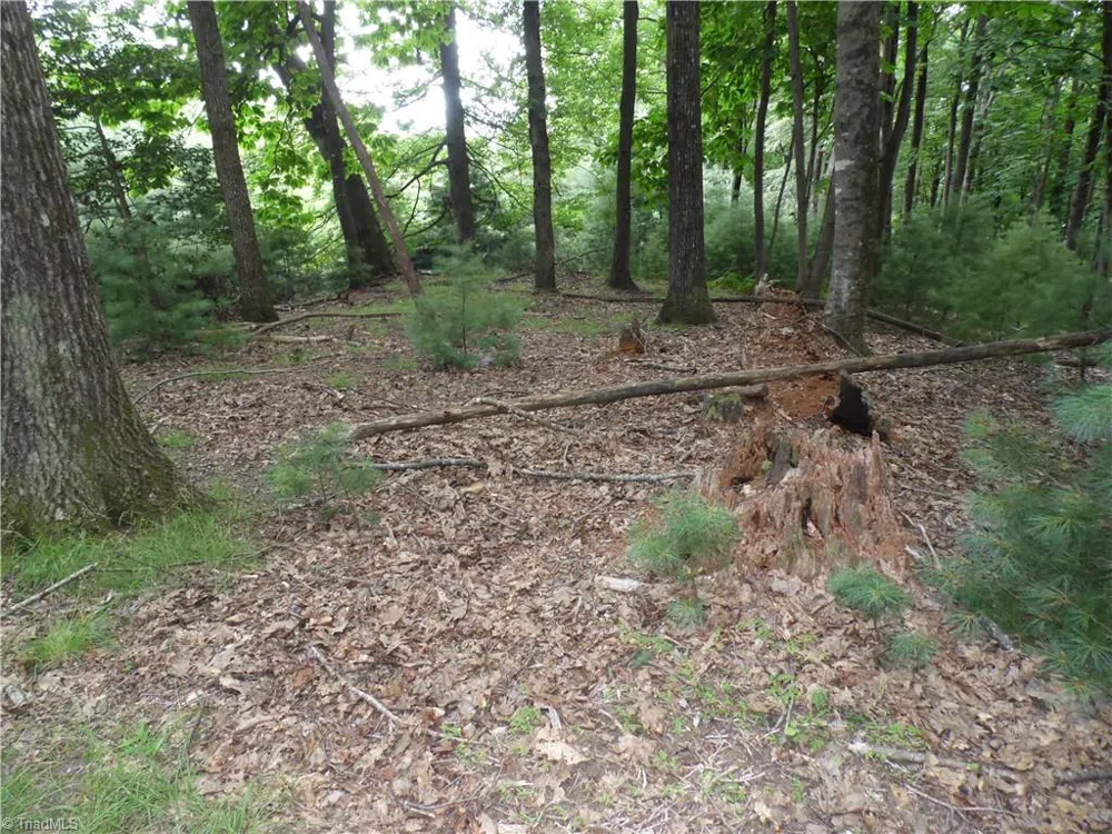 TBD Longview Circle Roaring Gap, NC 28627