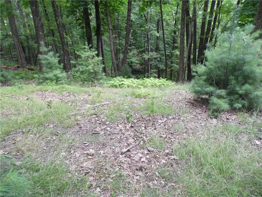 TBD Longview Circle Roaring Gap, NC 28627