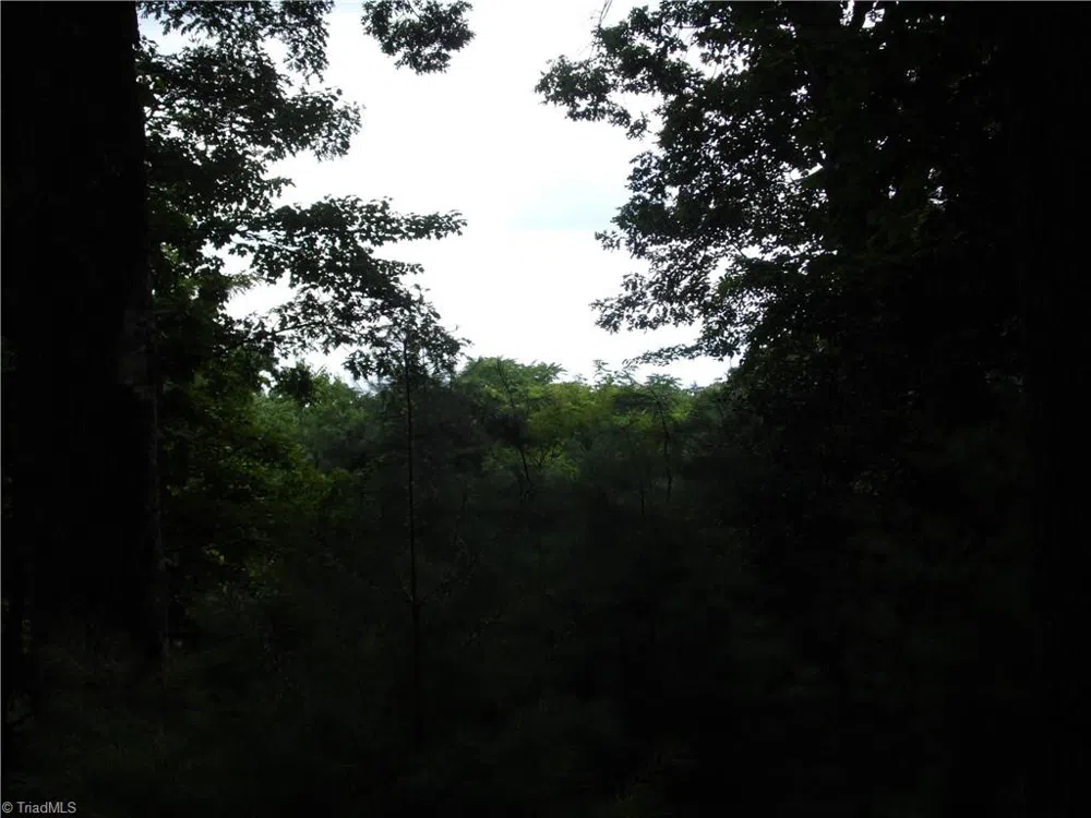 TBD Longview Circle Roaring Gap, NC 28627
