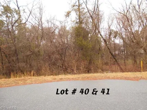 #40 & #41 Fox Run