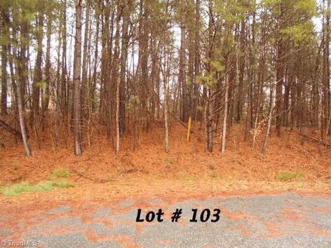 #103 Deer Run