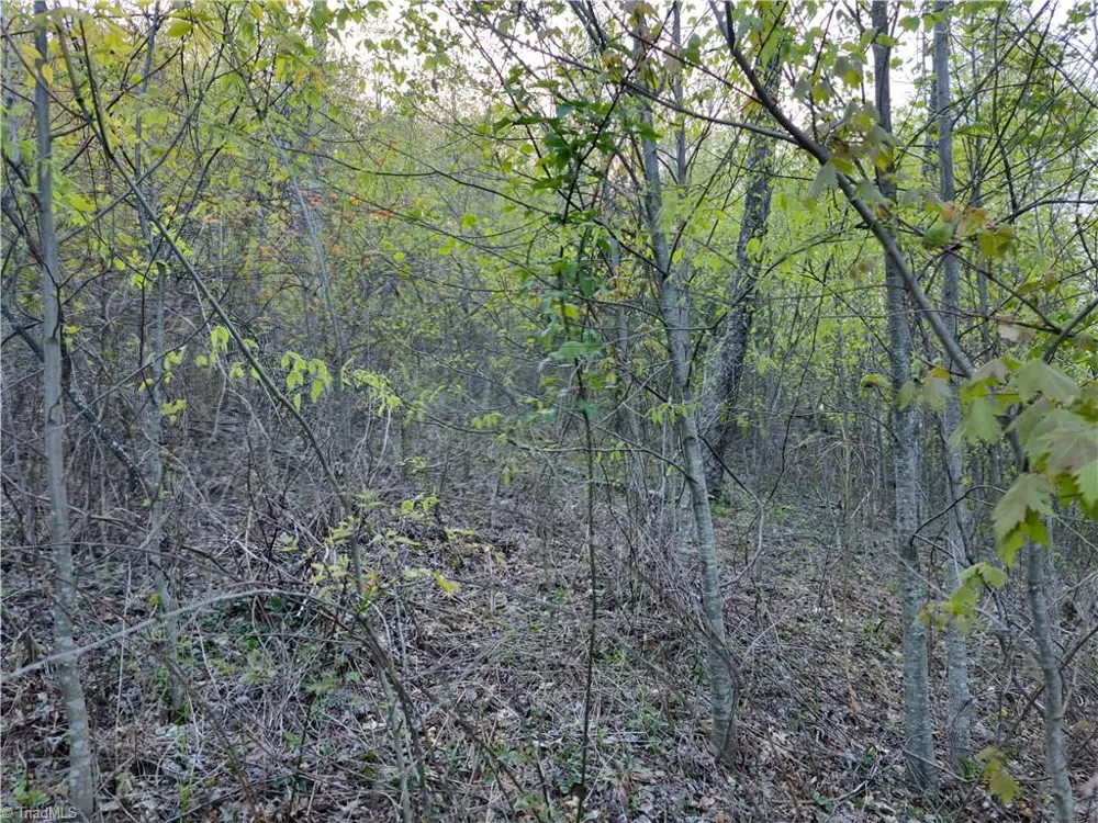 Lot 10 Park Vista Lane Sparta, NC 28675
