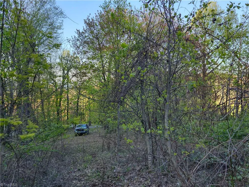Lot 10 Park Vista Lane Sparta, NC 28675