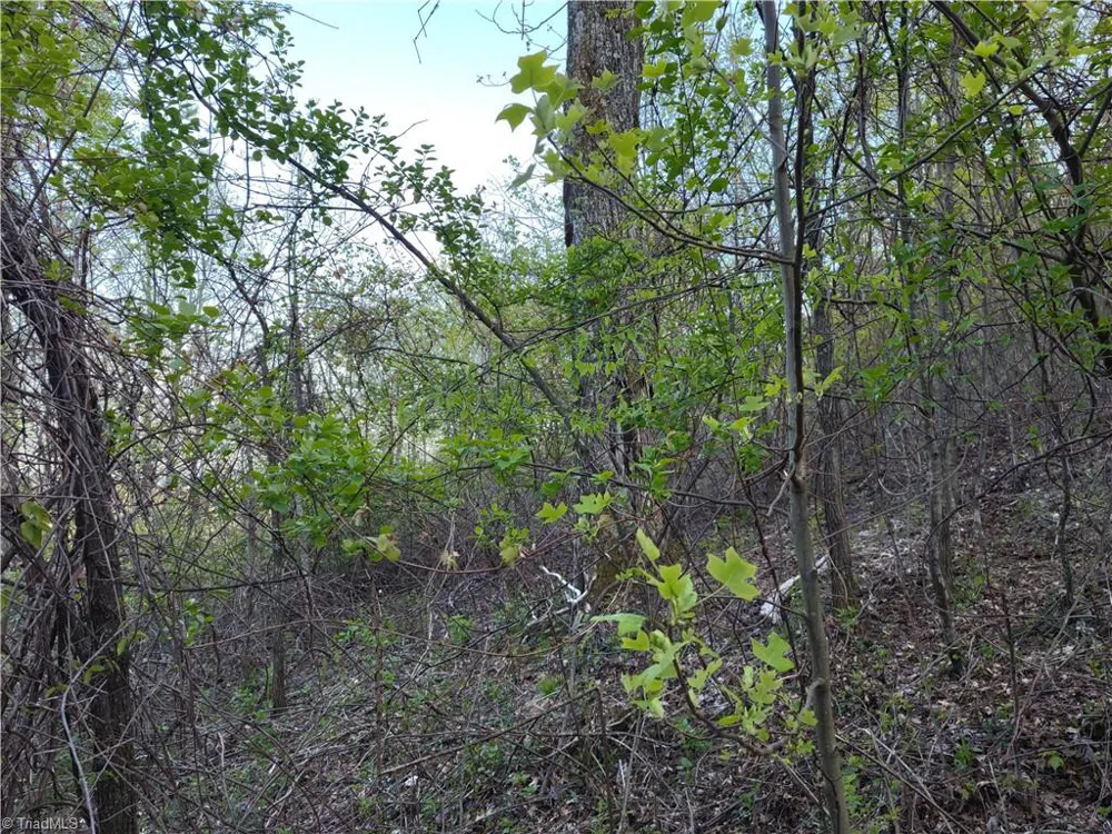 Lot 10 Park Vista Lane Sparta, NC 28675