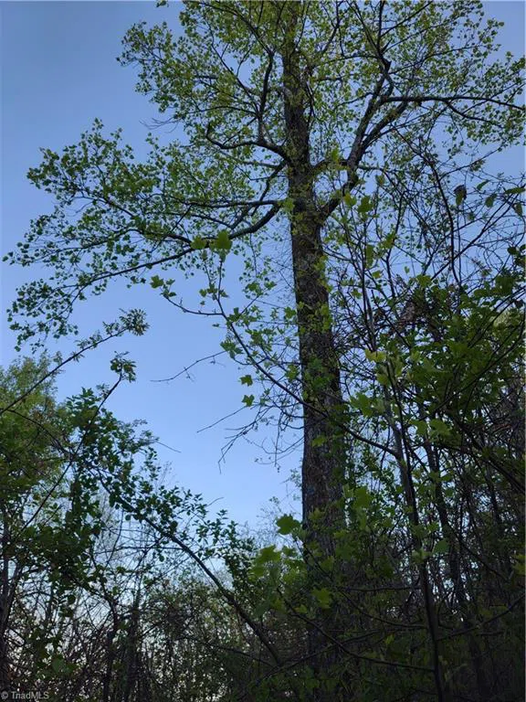 Lot 10 Park Vista Lane Sparta, NC 28675
