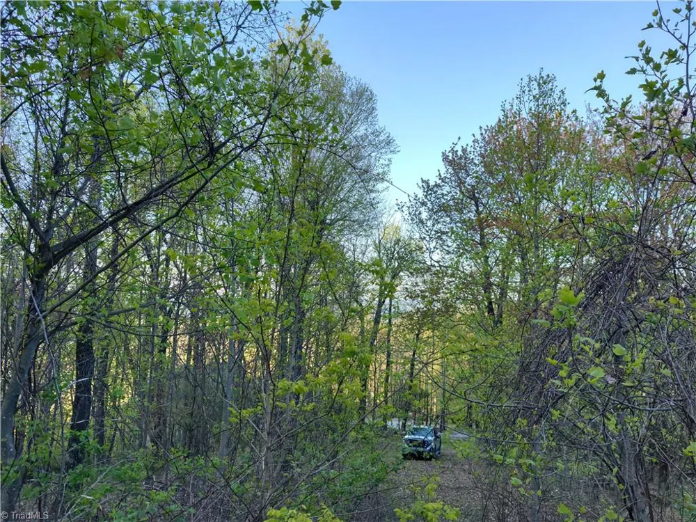 Lot 10 Park Vista Lane Sparta, NC 28675