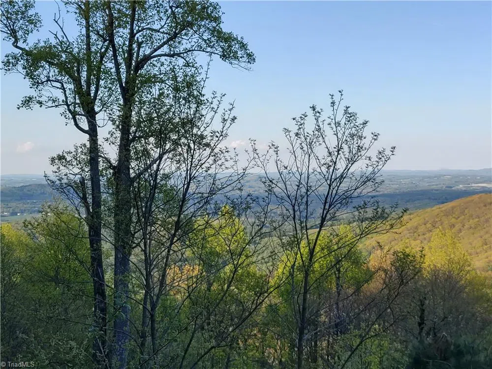 Lot 10 Park Vista Lane Sparta, NC 28675