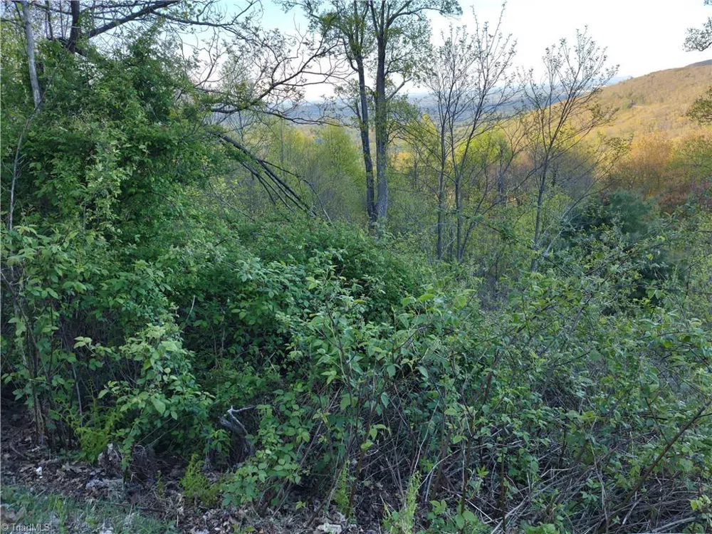 Lot 10 Park Vista Lane Sparta, NC 28675