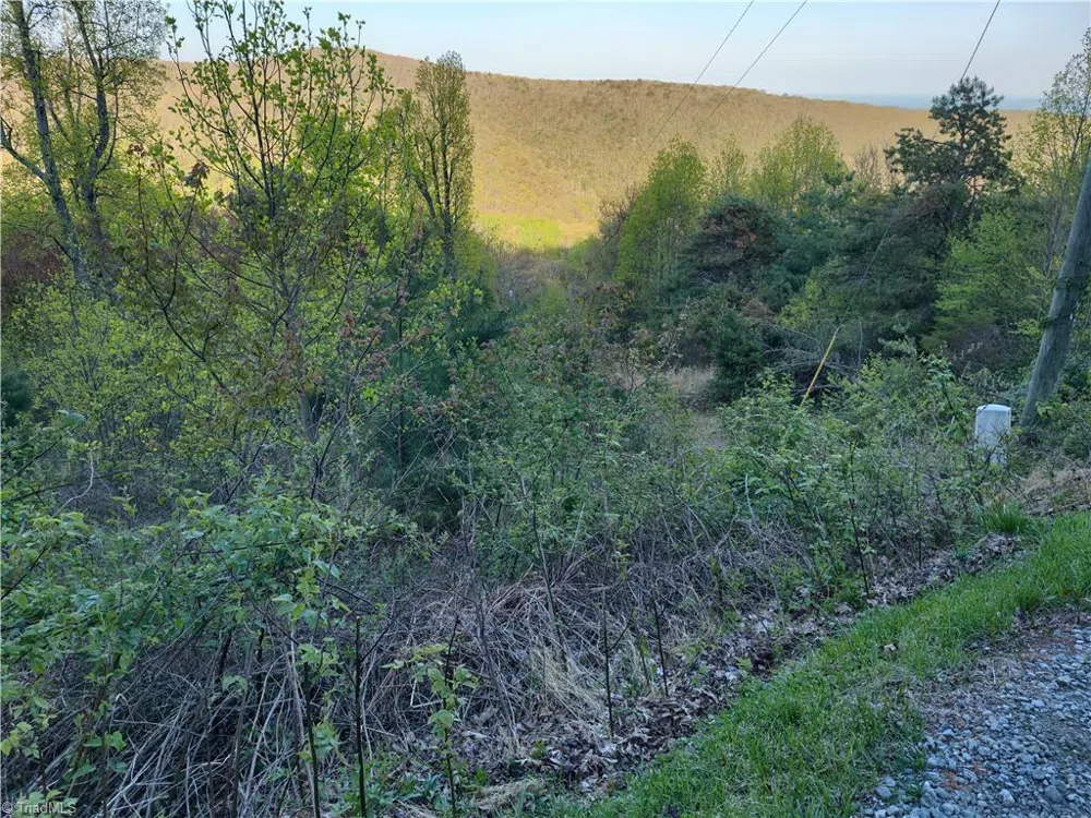 Lot 10 Park Vista Lane Sparta, NC 28675