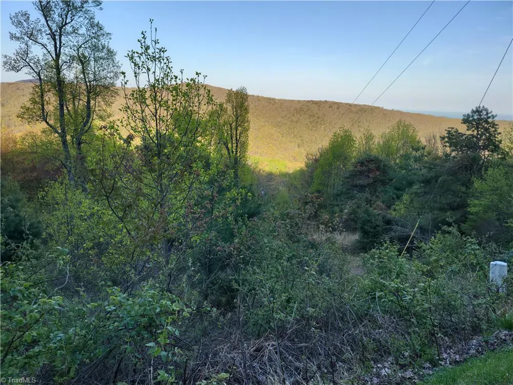 Lot 10 Park Vista Lane Sparta, NC 28675