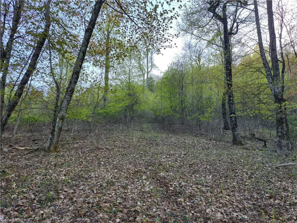 Lot 10 Park Vista Lane Sparta, NC 28675