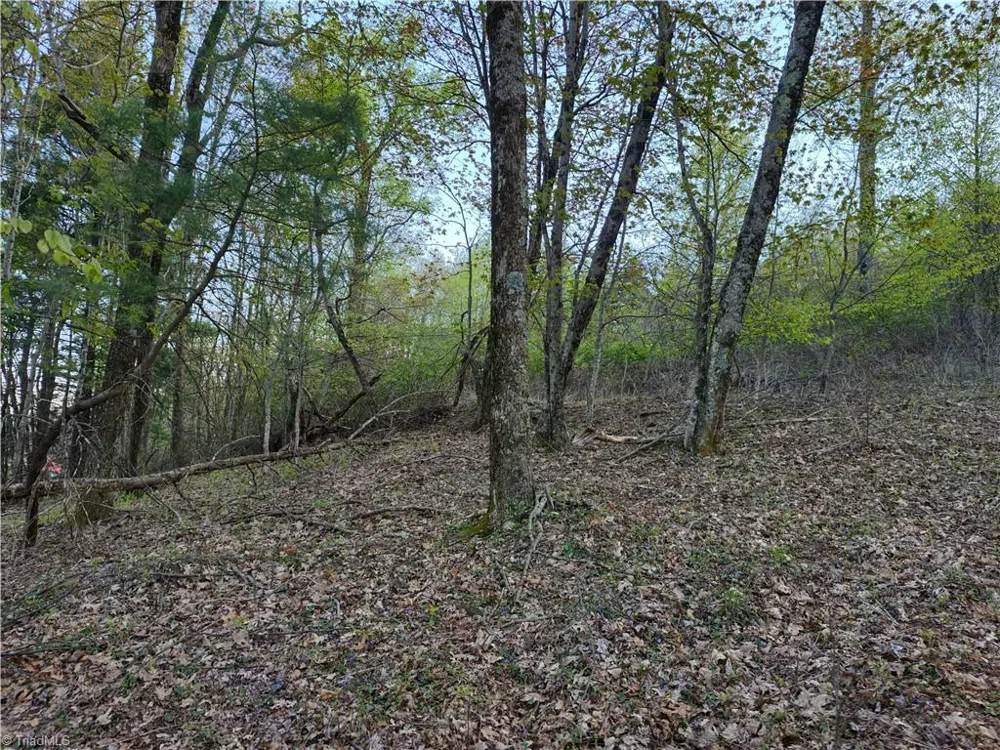 Lot 10 Park Vista Lane Sparta, NC 28675