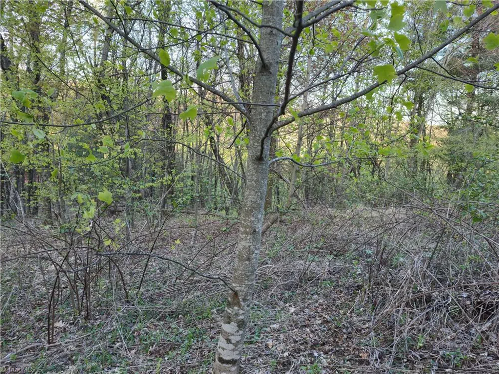 Lot 10 Park Vista Lane Sparta, NC 28675