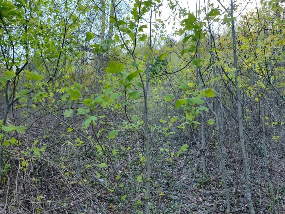 Lot 10 Park Vista Lane Sparta, NC 28675