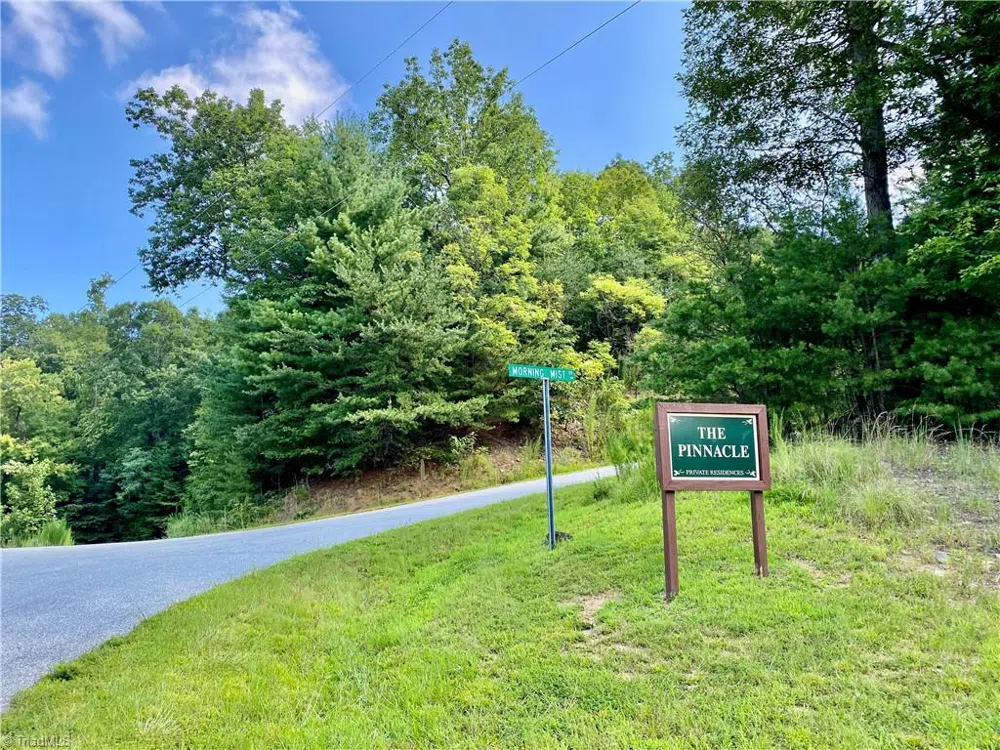 Lot 1 Pinnacle Drive Boomer, NC 28665