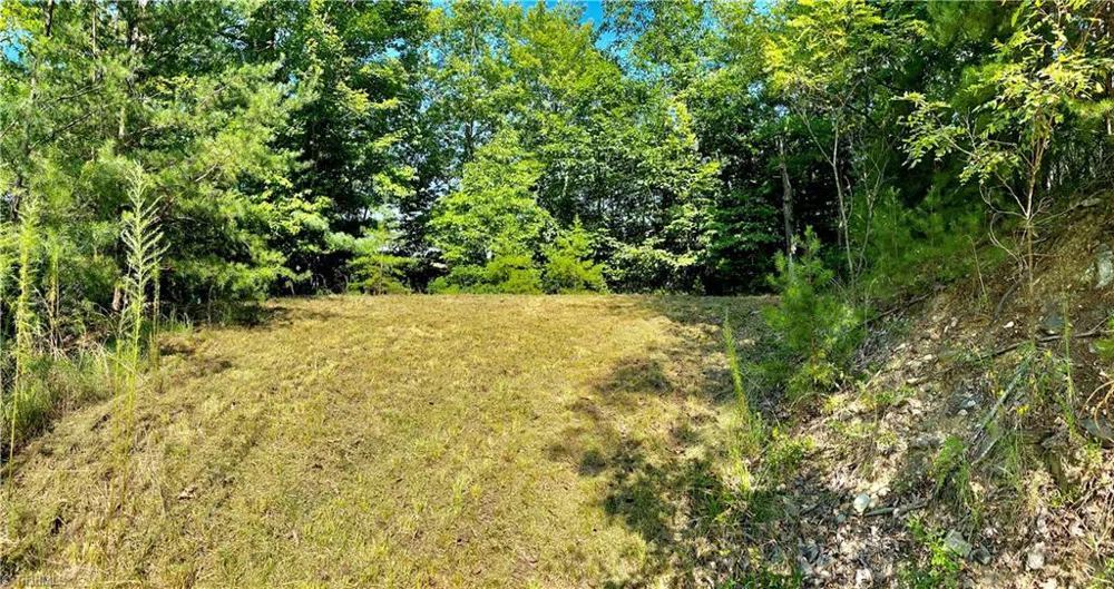 Lot 1 Pinnacle Drive Boomer, NC 28665