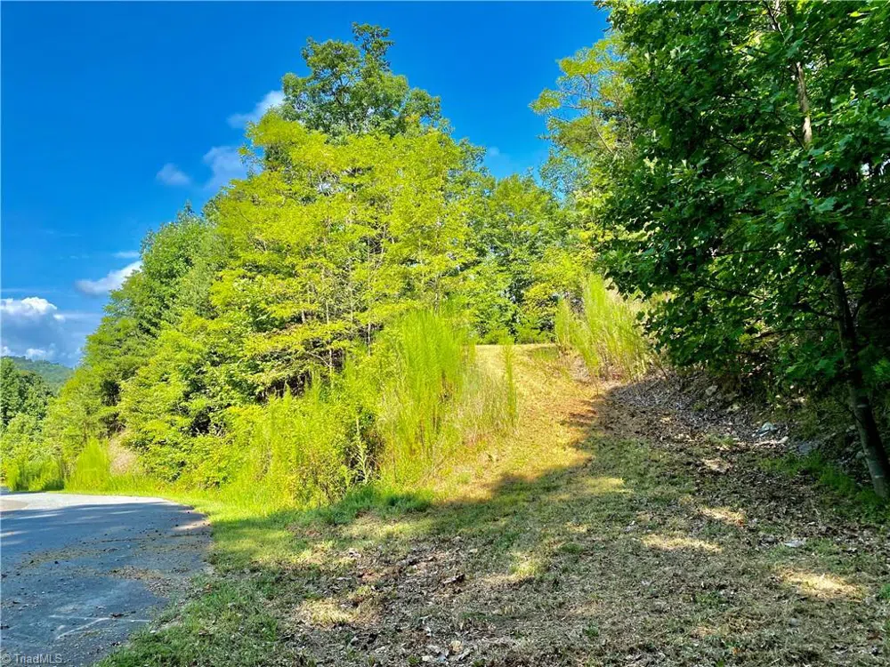 Lot 1 Pinnacle Drive Boomer, NC 28665