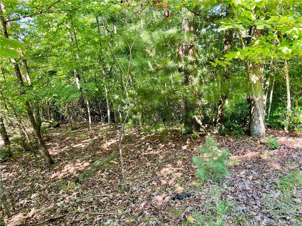 Lot 1 Pinnacle Drive Boomer, NC 28665