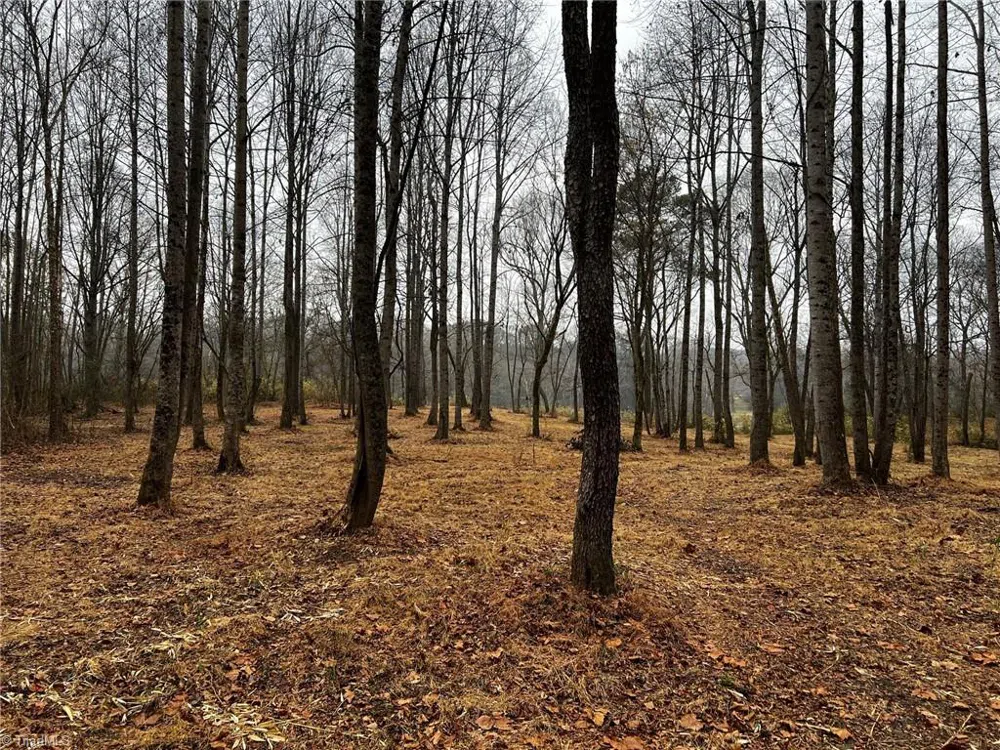Lot 150 Lookout Dam Road Statesville, NC 28625