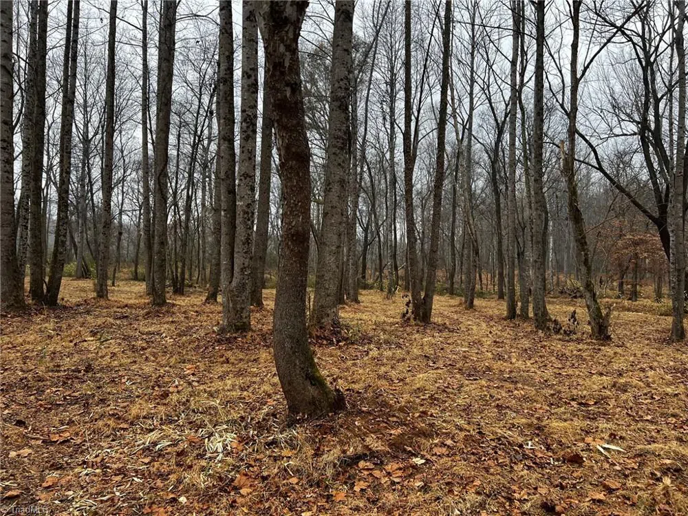 Lot 150 Lookout Dam Road Statesville, NC 28625