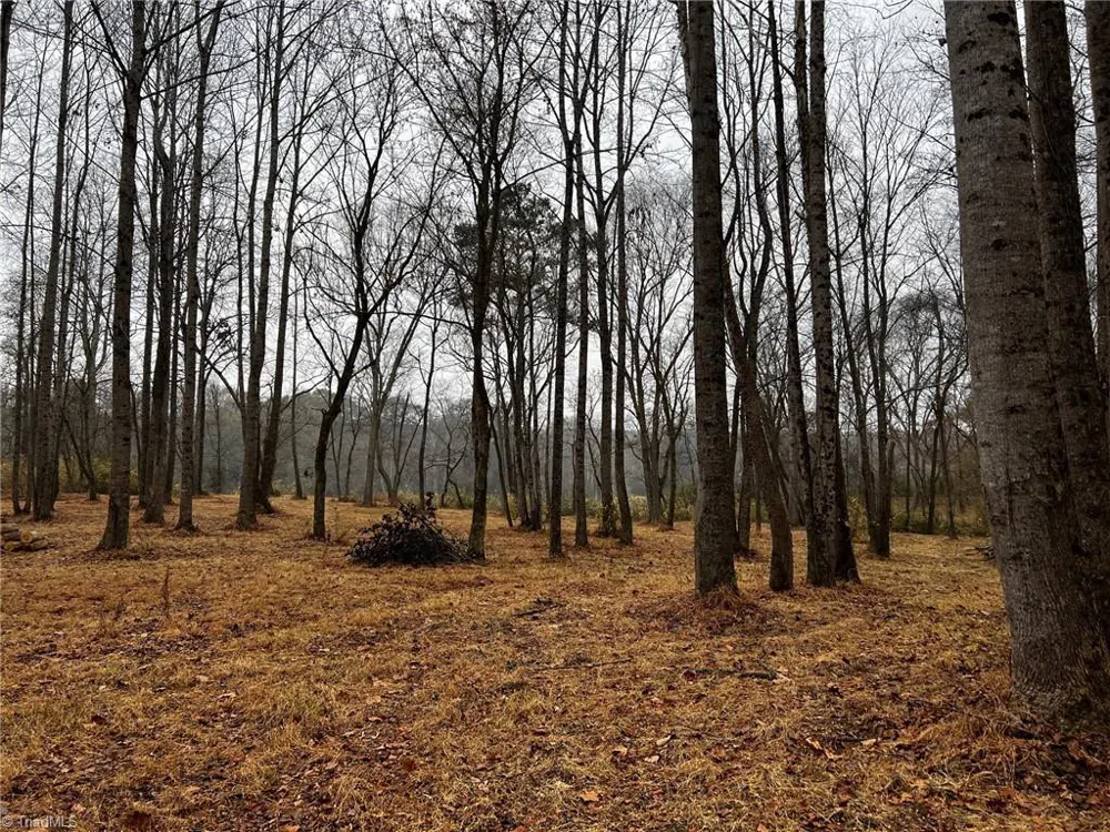 Lot 150 Lookout Dam Road Statesville, NC 28625