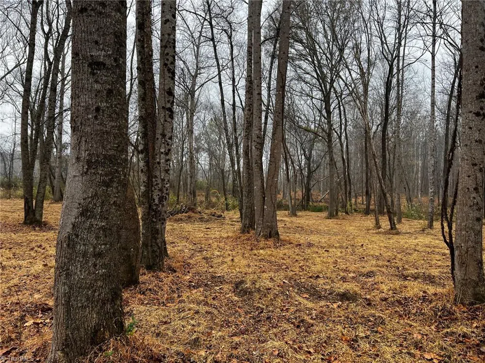 Lot 150 Lookout Dam Road Statesville, NC 28625