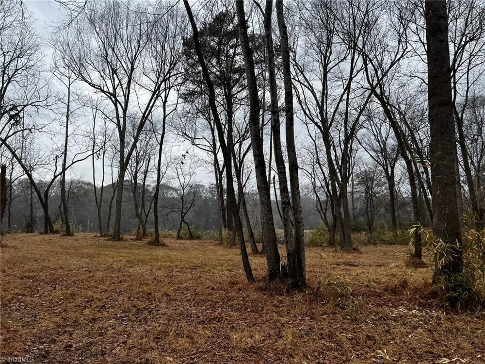 Lot 150 Lookout Dam Road Statesville, NC 28625