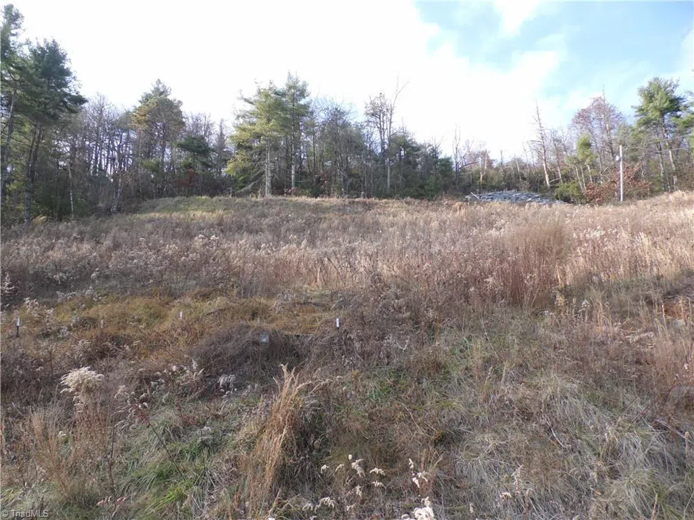 4143 Mountain View Road Glade Valley, NC 28627