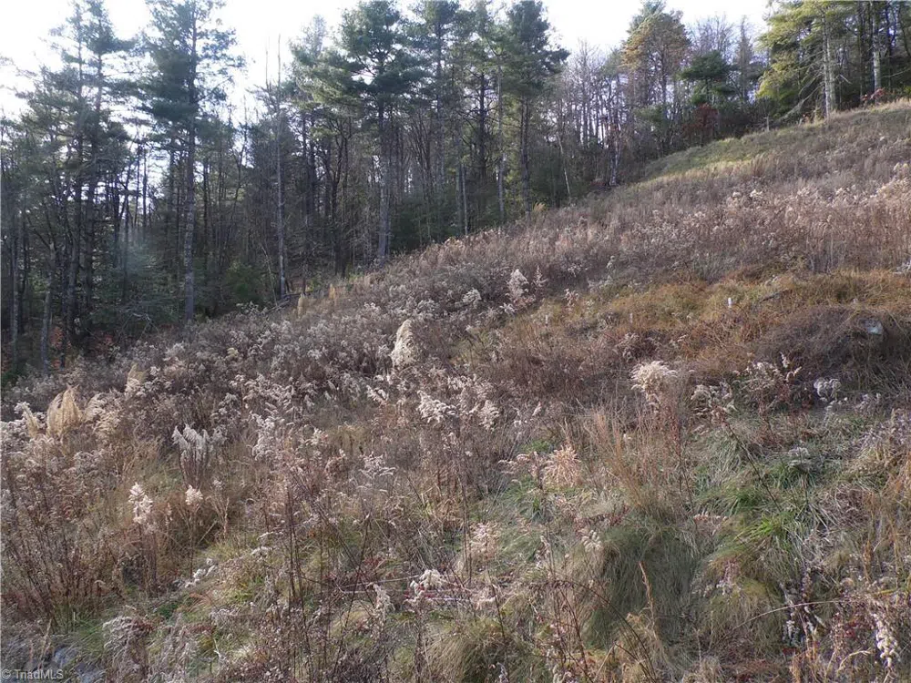 4143 Mountain View Road Glade Valley, NC 28627