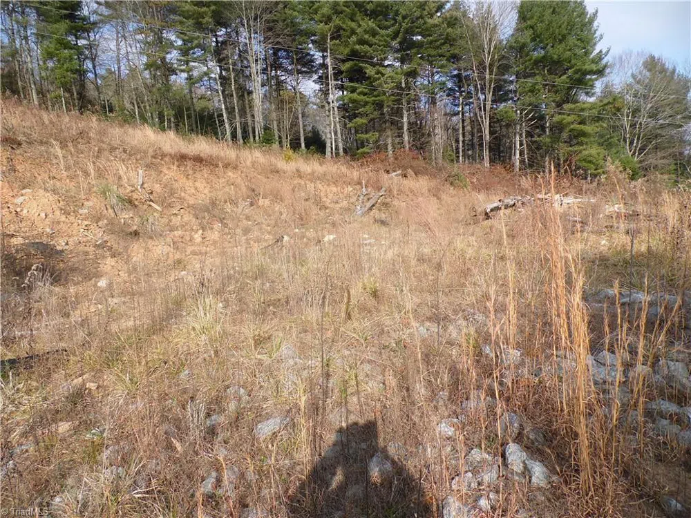 4143 Mountain View Road Glade Valley, NC 28627