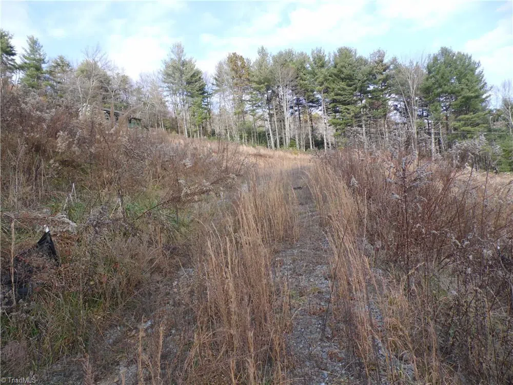 4143 Mountain View Road Glade Valley, NC 28627