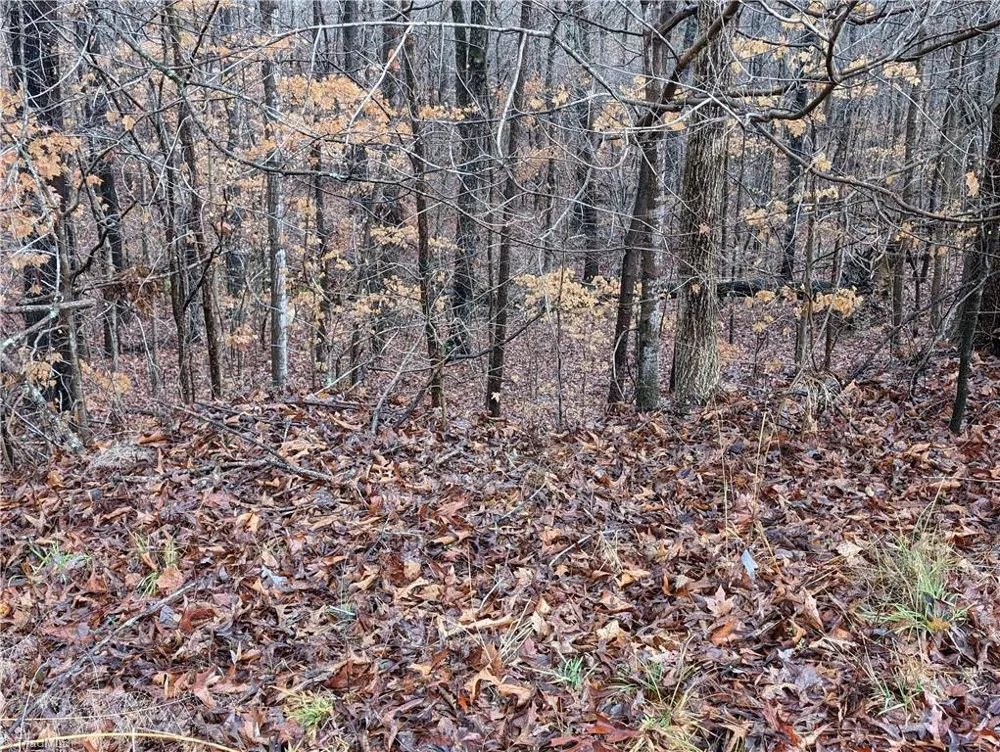 255 Bowers Road Thomasville, NC 27360