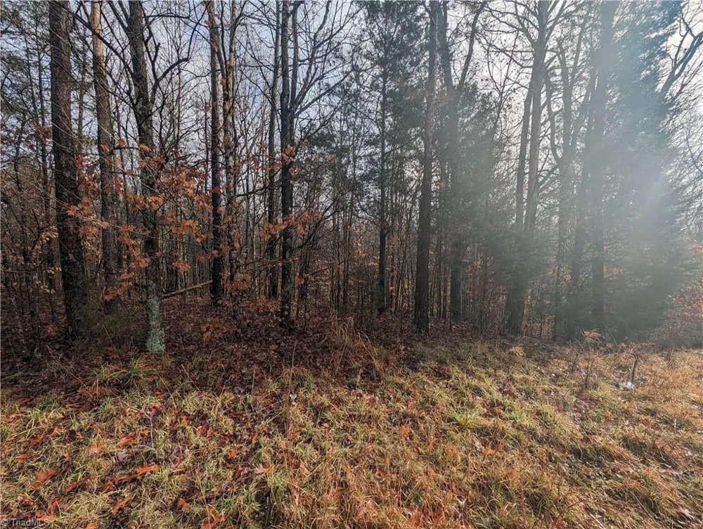 255 Bowers Road Thomasville, NC 27360