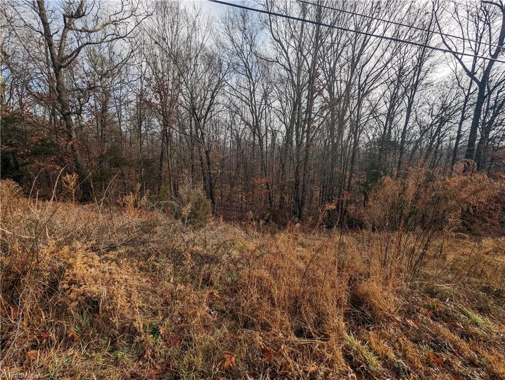 255 Bowers Road Thomasville, NC 27360