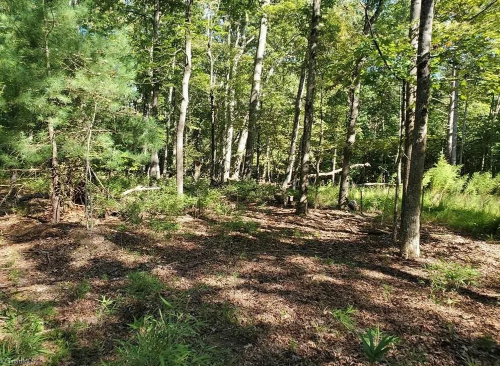 652 Johnson Ridge Road Elkin, NC 28621