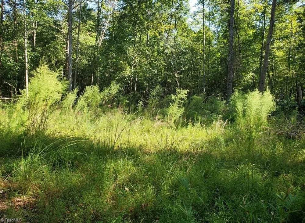 652 Johnson Ridge Road Elkin, NC 28621