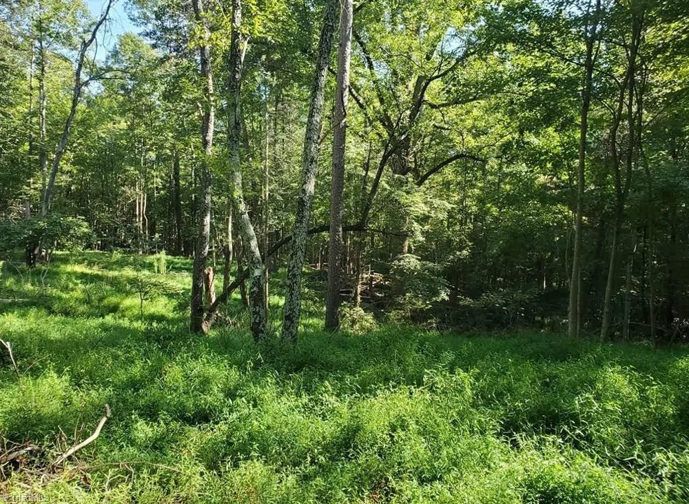 652 Johnson Ridge Road Elkin, NC 28621