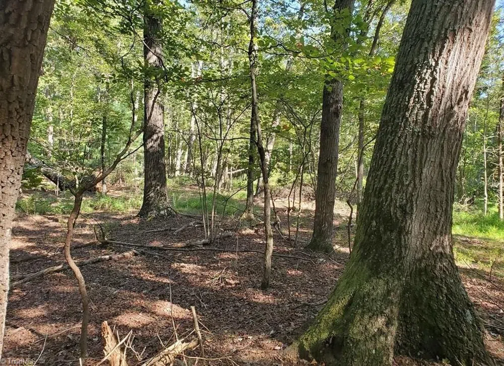 652 Johnson Ridge Road Elkin, NC 28621