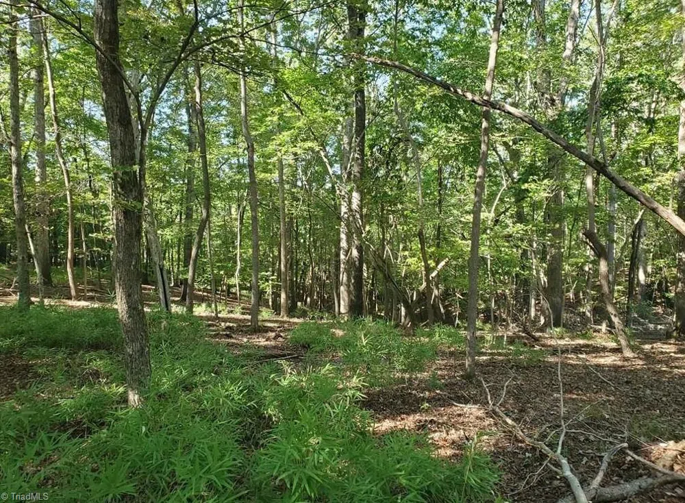 652 Johnson Ridge Road Elkin, NC 28621