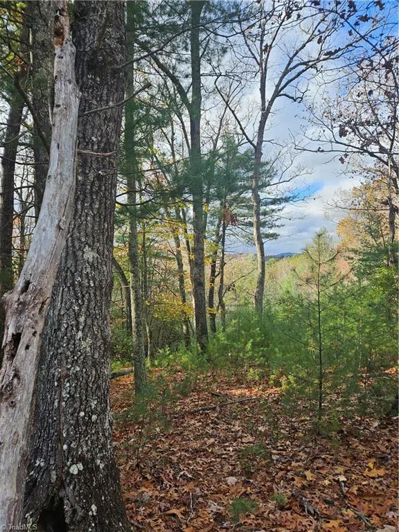 0 Sutter's Ridge Lt 112 Rock Wall Road McGrady, NC 28649
