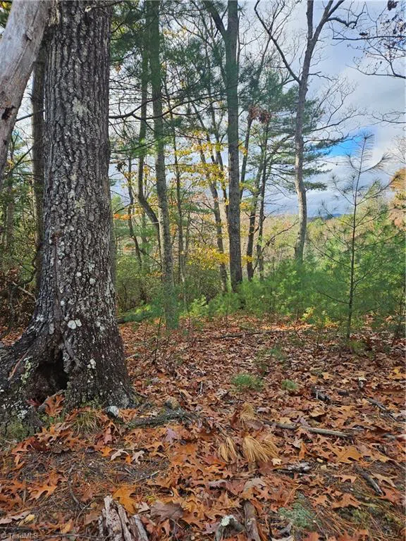 0 Sutter's Ridge Lt 112 Rock Wall Road McGrady, NC 28649
