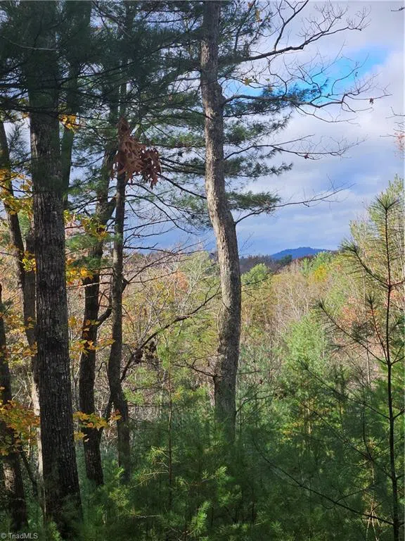 0 Sutter's Ridge Lt 112 Rock Wall Road McGrady, NC 28649